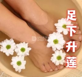足下升莲SPA养生